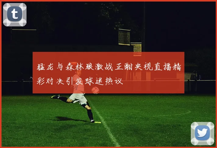 猛龙与森林狼激战正酣央视直播精彩对决引发球迷热议