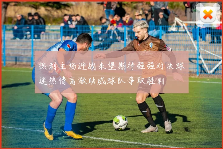 热刺主场迎战米堡期待强强对决球迷热情高涨助威球队争取胜利