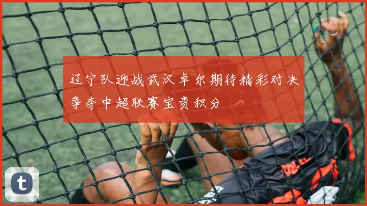 辽宁队迎战武汉卓尔期待精彩对决争夺中超联赛宝贵积分