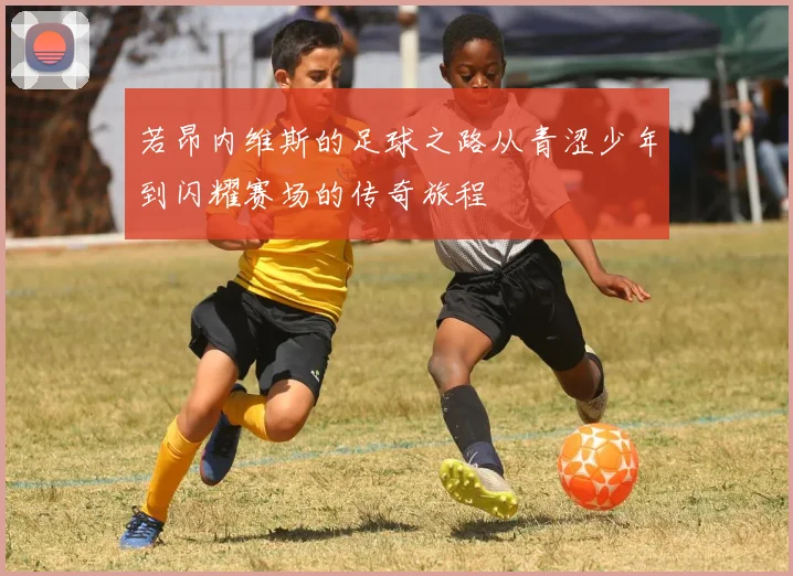 若昂内维斯的足球之路从青涩少年到闪耀赛场的传奇旅程