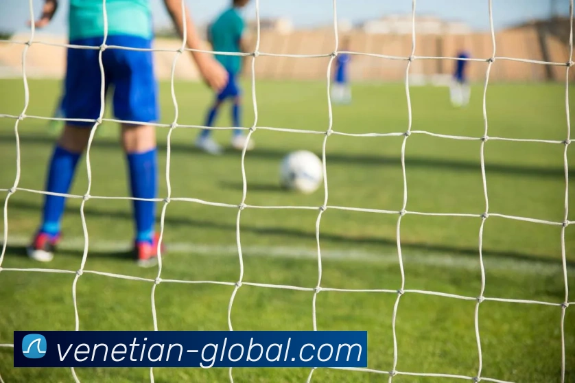 多媒体互动体验